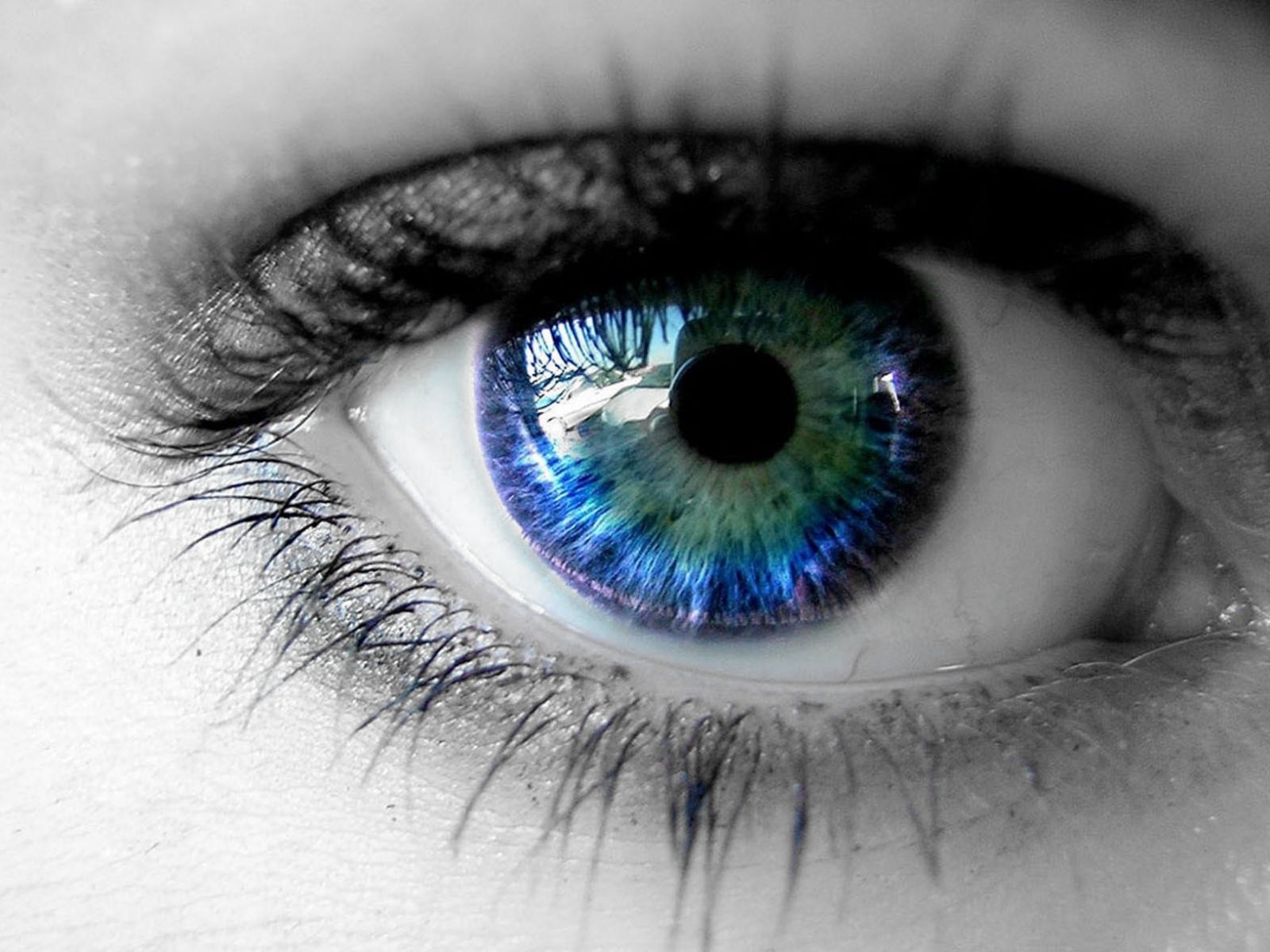 photo a noir et blanc une touche de couleurs