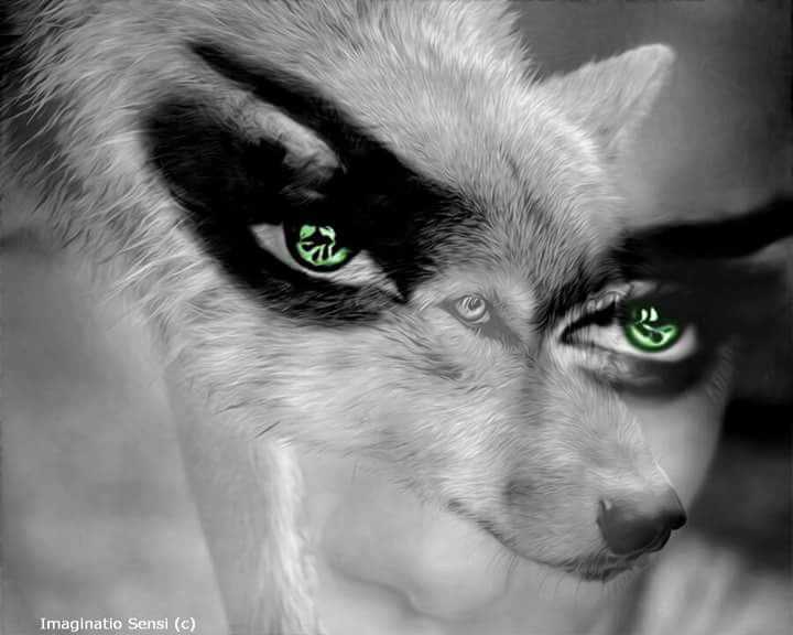 photo a noir et blanc une touche de couleurs