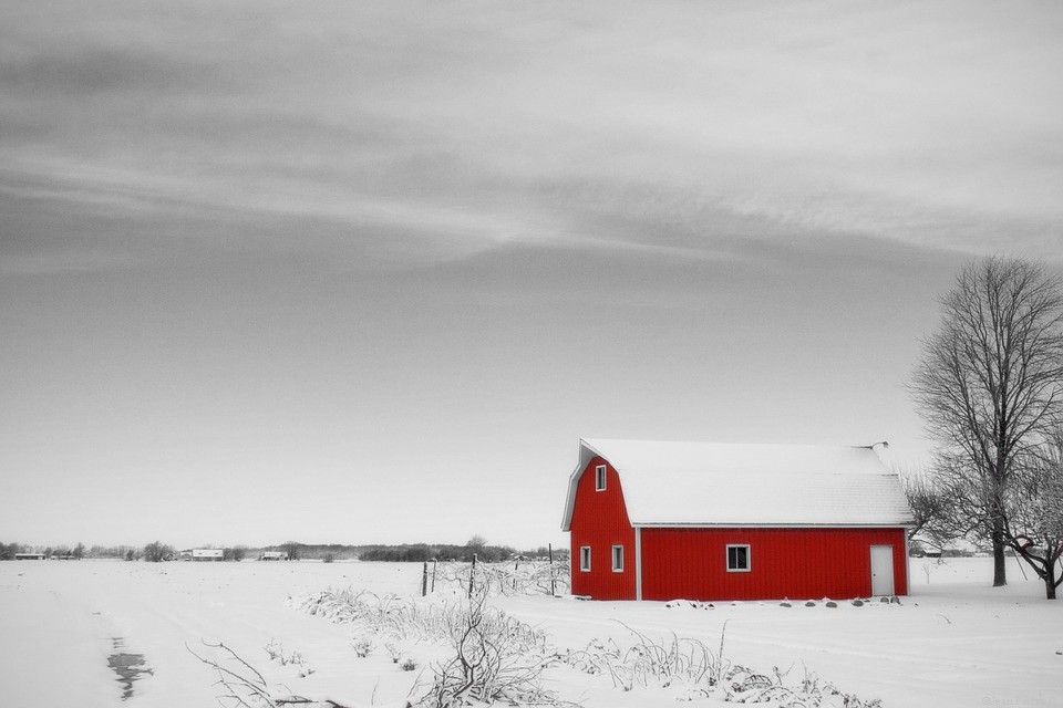 photo a noir et blanc une touche de couleurs